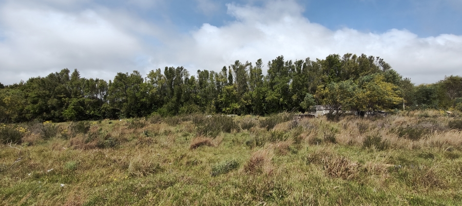 0 Bedroom Property for Sale in Greenbushes Eastern Cape